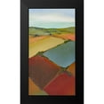 thumbnail image 2 of Bradshaw, Don 15x24 Black Modern Framed Museum Art Print Titled - Aerial 15, 2 of 5