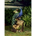 thumbnail image 1 of Jeco Peacock Outdoor Fountain in Blue and Brown, 1 of 1