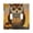 Cute Owl with Autumn Leaves, variant on Haosy Light Switch Cover Plate 2 Gang Electrical Outlet Covers Owl Perched on Book Decorate Wall Plate 4.56”x4.48”