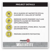 Clear, Zinsser WaterTite Concrete and Masonry Etch and Cleaner-5082, 12 oz