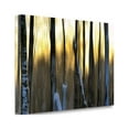 thumbnail image 2 of Tangletown Fine Art The Forest At Dawn By Marvin Pelkey,  Gallery Wrap Canvas 29 x 20, 2 of 2