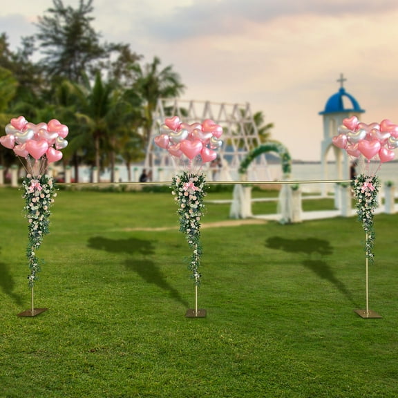 Denest Modern Gold Steel Freestanding Rack Photography Backdrop Stand For Wedding Party