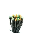 thumbnail image 2 of Vickerman Battery Operated Multi-colored LED Outdoor 50 Light Set, Automatic On-Off Timer., 2 of 4