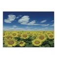 thumbnail image 1 of Sunflower Cutting Board, Fresh Sunflowers Field Under Clear Sky Clouds Countryside Farm Picture, Decorative Tempered Glass Cutting and Serving Board, Small Size, Blue Green Yellow, by Ambesonne, 1 of 1