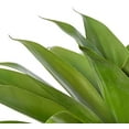 thumbnail image 3 of Nearly Natural 6960 38" H Agave Artificial Plant in Planter, Green, 3 of 5