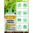 thumbnail image 2 of TNVitamins Garcinia Cambogia Extract Capsules (1000 mg x 60 Pills) with HCA & Chromium | Weight Loss & Diet Pills for Women & Men*, 2 of 5