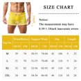 thumbnail image 6 of Mens Hollow Boxer Briefs Shorts Mesh Breathable Shorts See Through Drawstring Boxers Underwear Sexy Active Bikini Trunks, 6 of 6