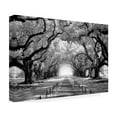 thumbnail image 3 of Trademark Fine Art Mike Jones Photo Oak Alley inf CHECK Canvas Wall Art - 12x19, 3 of 5