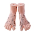 thumbnail image 2 of Modelo de acupuntura de pies Baoblaze de 2 piezas para reflexología y enseñanza médica, 2 of 8