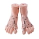 thumbnail image 2 of Modelo de Pies Zulema 2 Pares 19 Cm Acupuntura Reflexología Medicina, 2 of 8