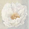 thumbnail image 2 of Art.com Serene Peony Stretched Canvas Print Wall Art by Julia Purinton, 24" x 24", 2 of 4