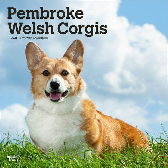 Pembroke Welsh Corgis | 2026 12x24" (Hanging) Wall Calendar | Plastic-Free