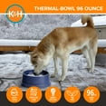 thumbnail image 5 of K&H Pet Products Thermal-Bowl Outdoor Heated Cat & Dog Water Bowl Blue 96 Ounces, 5 of 9