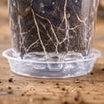 thumbnail image 5 of Plant Pots, Clear Plastic Drainage Holes Matching Saucers Tray Seed Starting Propagation Container 4 5 6 7 in Sizes Garden Sowing Vessels Botanical Growing Tool 6in, 5 of 6