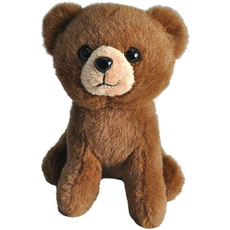 Wild Republic Brown Bear Plush, Stuffed Animal, Plush Toy, Gifts for Kids, Pocketkins, 5 Inches