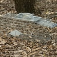 thumbnail image 2 of Havahart Outdoor 1-Door Live Animal Trap, Metal, Small, 2 of 8