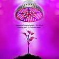 thumbnail image 4 of 8W E27 18 LED Lámpara de planta Luz de planta Lámpara de crecimiento de planta de interior Lámpara de cultivo de espectro completo, 4 of 8