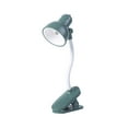 thumbnail image 1 of kjfeif Clip On Desk Lamp, Adjustable Reading Light with Bed Headboard Clamp, Eye-Caring Table Lamp for Home Office, College Dorm, Study, and Bedside Use, 1 of 6