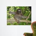 thumbnail image 1 of Three Toed Sloth Nicaragua Wall Mural by Wallmonkeys Peel and Stick Graphic (36 in W x 28 in H) WM191966, 1 of 4