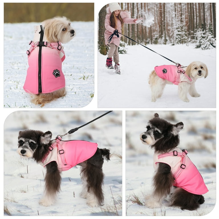 SMALLLEE_LUCKY_STORE Huisdier Colorblock waterdicht winter puffer jas