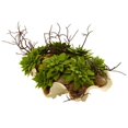 thumbnail image 2 of Nearly Natural 4851 Succulent Garden w/Seashell, 2 of 2