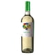 thumbnail image 1 of Vino Blanco Vid Mexicana Anécdota 375 ml Chenin Blanc, 1 of 2