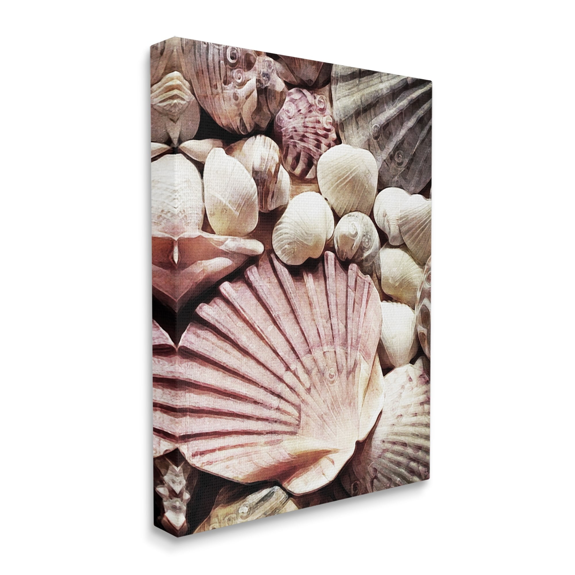 Stupell Stacked Coastal Seashells Landscape Photography Gallery Wrapped Canvas Print Wall Art
