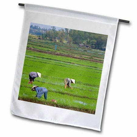 3dRose Vietnamese farmer  Rice paddy  Hoi An  Vietnam-AS38 DFR0372 - David R. Frazier  Garden Flag  12 by 18-Inch