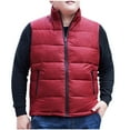 thumbnail image 2 of BSDJILFG Big and Tall Mens Puffer Vest Full Zip Up Quilted Vest Oversized Fit Sleeveless Raglan Outerwear for Camping, 2 of 9