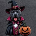 thumbnail image 3 of CafePress - Costumed Pitbull Halloween - Men's Loose Fit, Cotton - 2 Piece Pajama Set, 3 of 7