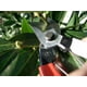 thumbnail image 2 of Tijeras de podar Okatsune 101 Bypass de 7 pulgadas con capacidad de corte de 0,75 pulgadas, 2 of 9