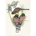 thumbnail image 2 of John Gould 14x18 Black Ornate Wood Framed Double Matted Museum Art Print Titled - Trogan Personatus (Probably 1836-1838), 2 of 5