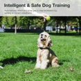 thumbnail image 4 of Anti Bark Collar for Dogs, Citronn Anti Bark Spray Dog Collar, Rechargeable and Safe Training Collar, 4 of 5