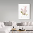 thumbnail image 3 of Trademark Fine Art 'Floursack Florals on White VI' Canvas Art by Danhui Nai, 3 of 3