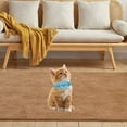 thumbnail image 4 of Durable Nylon Pet Collar Adjustable Design for Small Dogs and Cats Comfortable Everyday Use Outdoor Activities Training Versatile Control, 4 of 4