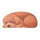 thumbnail image 2 of Xihbxyly Ofertas de Hoy Alfombra Mascota Adorable En 3D, Bienvenida para El Piso, 34,25 X 15,74 Pulgadas, Alfombra Antideslizante para El Piso, Divertida y Novedosa para Vacaciones de Verano, Decorac, 2 of 7