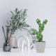 thumbnail image 4 of UPOUART Planta Artificial De Cactus En Maceta Para De Escritorio Y Ambiente Sofisticado, 4 of 6