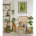 thumbnail image 3 of Art.com Issaquah, Washington State, USA. Barred owl perched on an old birdhouse. Photographic Print by Janet Horton, Brown Frame Wall Art, 32" x 44", 3 of 4