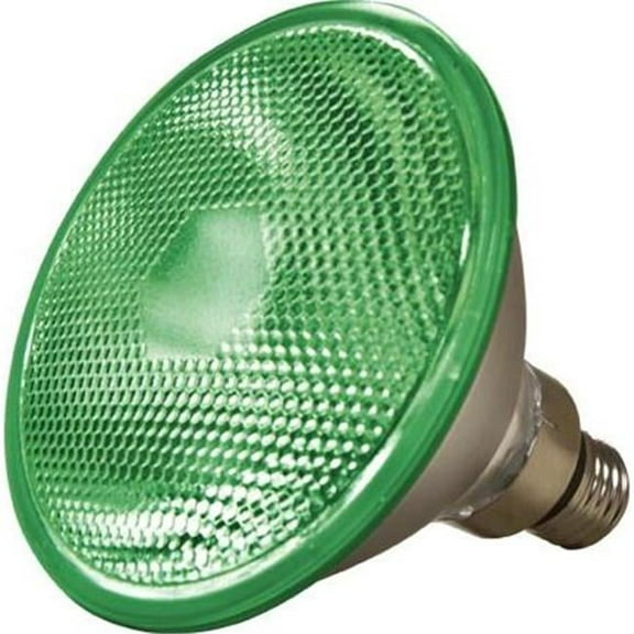 PAR38 Type Medium Base 100 watt MH Green 120 V Lamp