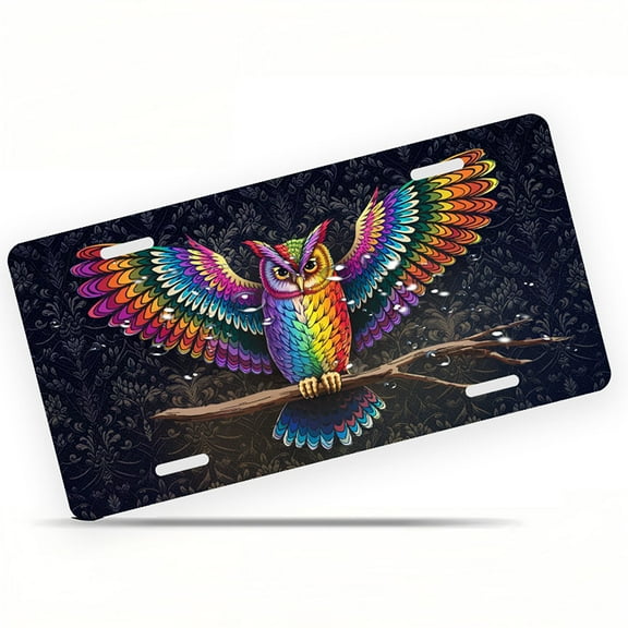 Colorful Owl Funny Personalized License Plate Rust-proof Stainless Steel Metal License Plate Suitable For Men And Women 12.2" x 6.2"