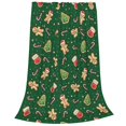 thumbnail image 2 of Fotbe green Christmas Element Manta de Franela Acolchonada con Estampado, Súper Suave y Esponjosa, Extra Grande para Sofá, Cama, Uso Todo el Año-60"x50", 2 of 7