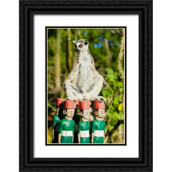 Hogstrom, Inger 17x24 Black Ornate Wood Framed with Double Matting Museum Art Print Titled - Madagascar-Berenty-Berenty Reserve Ring-tailed lemur warming itself in the morning sunshine