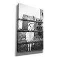 thumbnail image 2 of Epic Graffiti 'Donkeys' by Donnie Quillen, Canvas Wall Art, 26"x40", 2 of 2