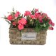 thumbnail image 5 of Billuyoard Cesta cuadrada de mimbre tejida para flores, maceta trenzada de mimbre para plantas, maceta, contenedor, decoración para el hogar Jardín y Patio, 5 of 6