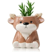 Cute Animals Planter, Mini Ceramic Cartoon Animal Shaped Succulent Flower Pot Indoor Air Plants Holder, Smooth Shiny Decorative Flower Cactus Planter - Plants Not Included (Deer)