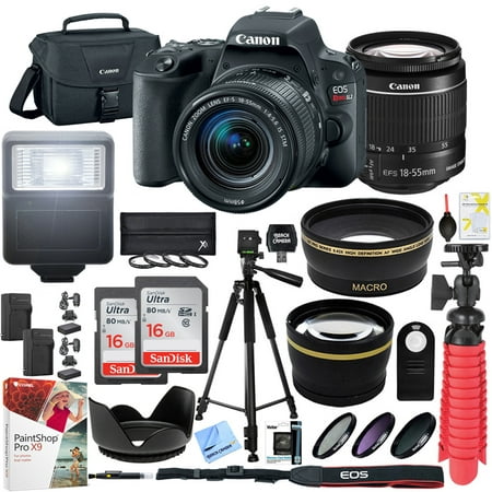 Canon EOS Rebel SL2 24MP SLR Digital Camera w/ EF-S 18-55mm IS STM Lens Black with Two (2) 16GB SDHC Memory Cards (32GB total) Plus Triple Battery Tripod Cleaning Kit Accessory