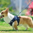 thumbnail image 4 of Arnés para perros con correa para perros, arnés de pecho de malla suave para perros / gatos medianos y pequeños, arnés ajustable reflectante y transpirable para cachorros Xemadio 2034456-6, 4 of 9