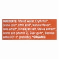 thumbnail image 4 of (Pack Of 24) Cove Soda Probiotic Root Beer 12 Fl Oz, 4 of 4