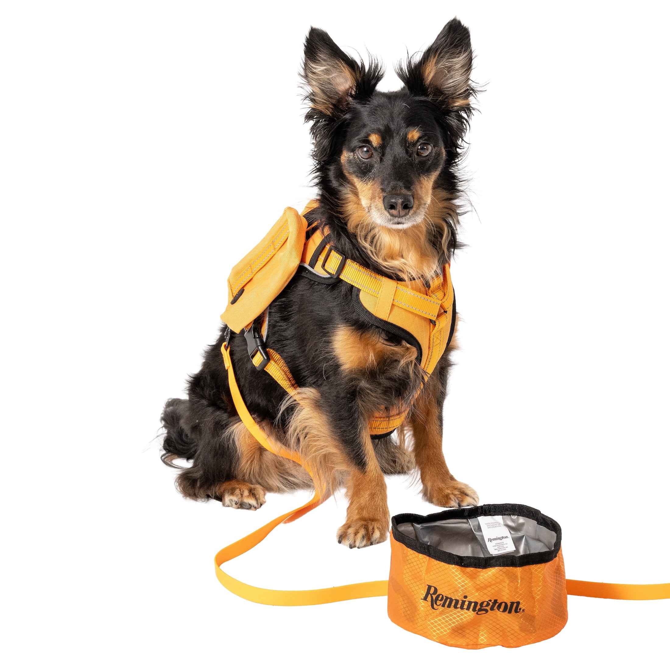 Remington Packable Travel Dog Bowl, Orange