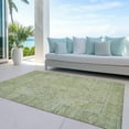 thumbnail image 6 of Addison Rugs Chantille Indoor/Outdoor Traditional Global Sage Washable Rectangle Rug, 2'6" x 3'10", 6 of 6